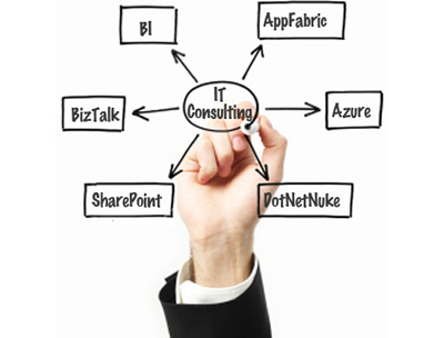 IT Consulting Services